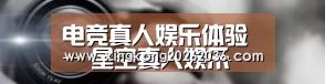 公司动态