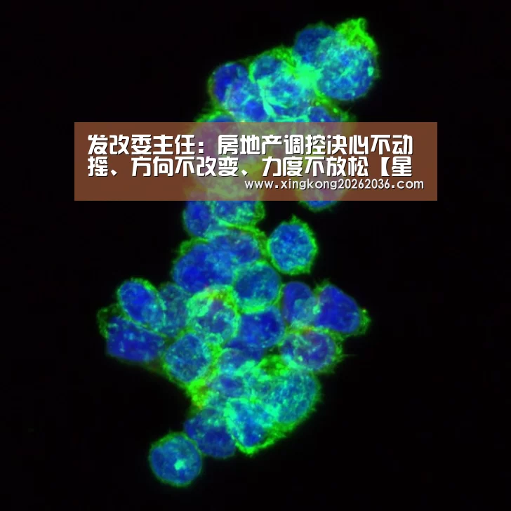发改委主任:房地产调控决心不动摇、方向不改变、力度不放松【星空体育】(图3) 星空体育