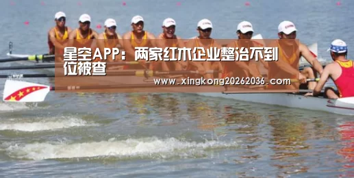 星空APP:两家红木企业整治不到位被查(图1) 星空百家乐