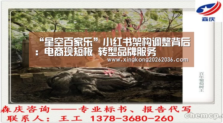 星空百家乐